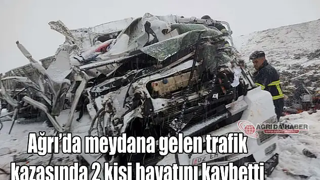 Ağrı'da meydana gelen trafik kazasında 2 kişi hayatını kaybetti