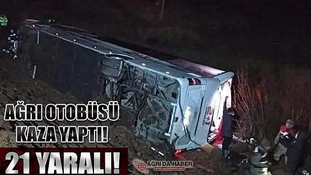 Ağrı'dan İstanbul'a Giden Yolcu Otobüs Devrildi 21 Yaralı