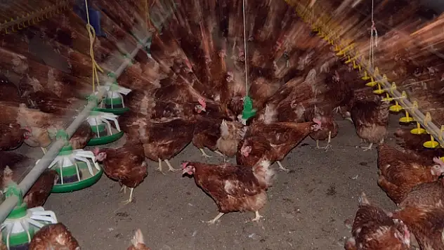 Memleketine yüzbinlerce liralık yatırım yaptı