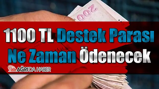 1100 TL Destek Parası Ne Zaman Ödenecek
