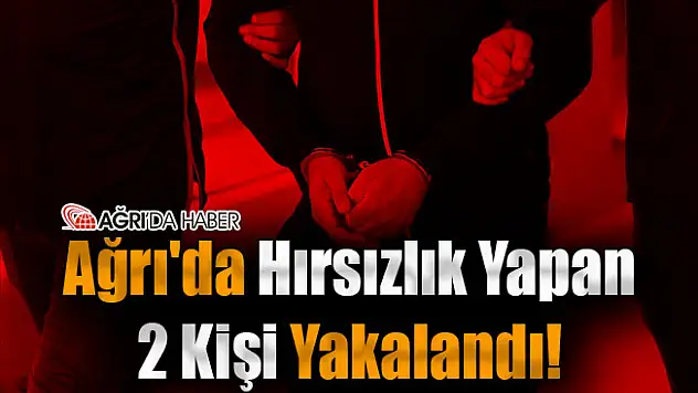 Ağrı'da Hırsızlık Yapan 2 Kişi Yakalandı!