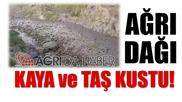 Ağrı Dağında Eriyen Karlar Taş ve Çamur Seline Sebep Oldu!