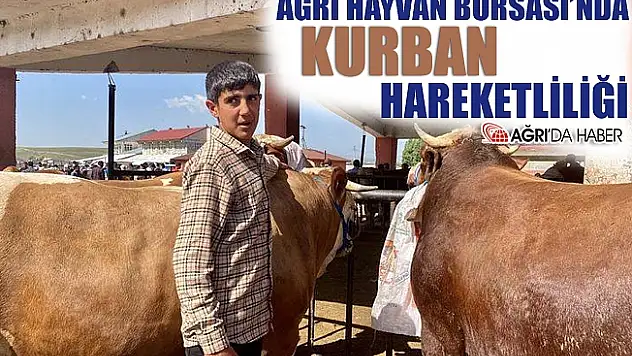 Ağrı Hayvan Borsası'nda Kurban Hareketliliği