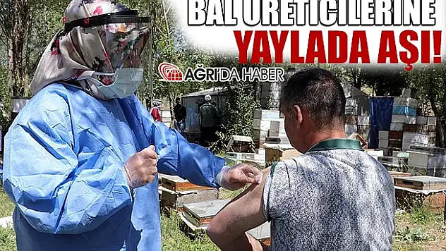 Yayla'da Çalışan Bal Üreticilerine Aşı Hizmeti Veriliyor