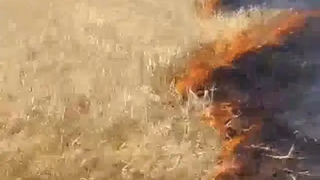 Başkan Sayan'a ait tarım arazisinde yangın çıktı