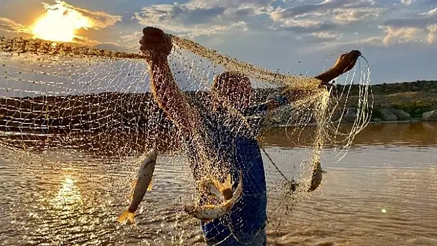 Ağrı'nın Murat Nehri'nde Balık Avı