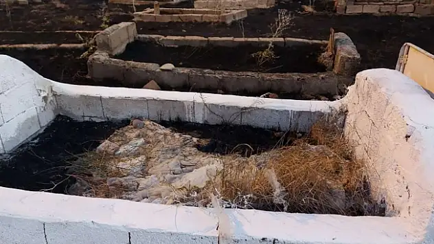 Ağrı'da çıkan yangında mezarlar hasar gördü