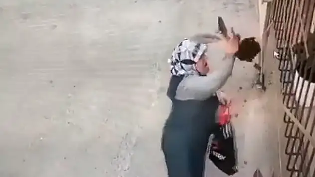 Saksıdaki çiçeği sökerek çaldı!
