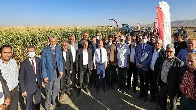 Eleşkirt'te silajlık mısır hasadına başlandı