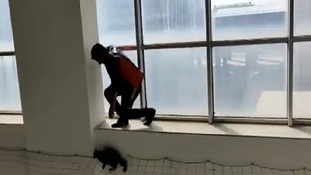 Ağrı'da Kedi Kurtarma Operasyonu Yapıldı