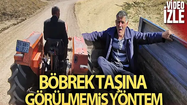 Böbrek Taşı Dökmenin Farklı Yöntemi