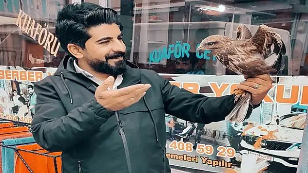 Diyadin'de yaralı şahin doğaya salındı