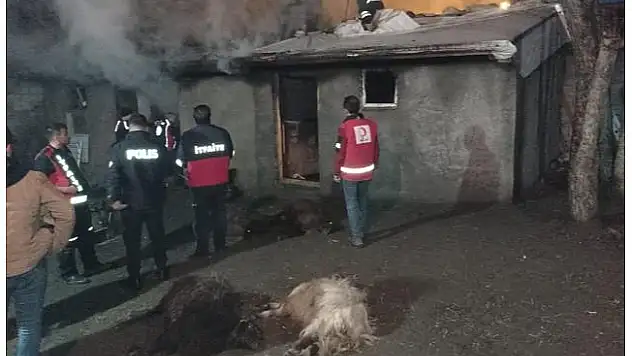 Ağrı'da yangın, 16 küçükbaş hayvan telef oldu