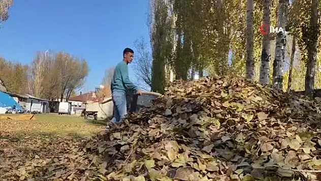 Ağrı'da yapraklar toprakla buluştu