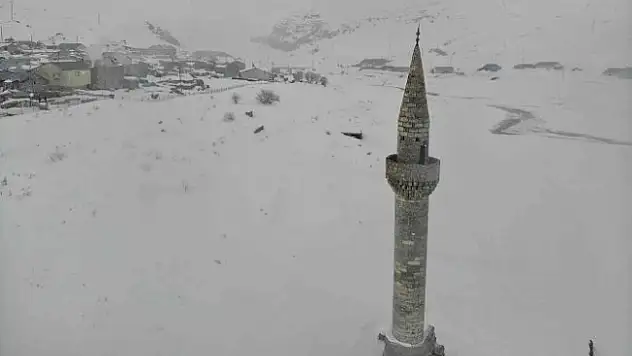 Ağrı'da Sular Altında Kalan Cami Havadan Görüntülendi