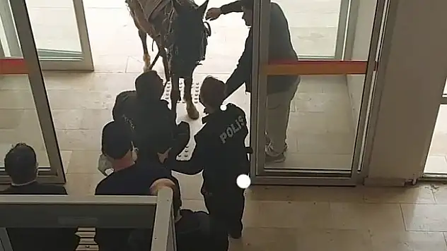 Kaymakamlığa atıyla girmeye çalıştı