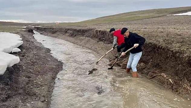 Ağrı'da etkili olan yağışlar çiftçilerin yüzünü güldürdü