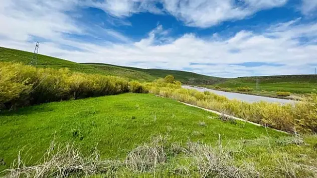 Ağrı, yeşilin tonlarıyla ışık saçtı