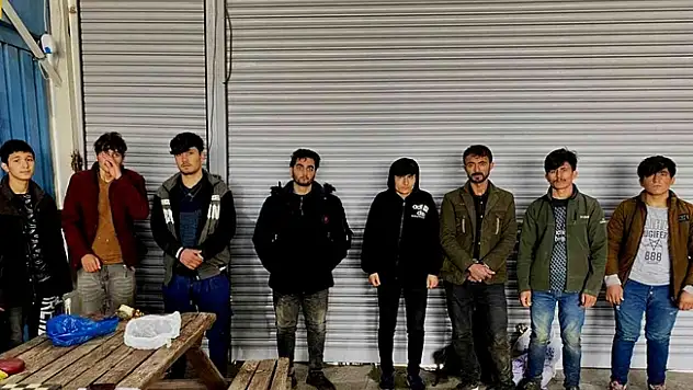 Ağrı'da samanların arasında göçmenler yakalandı!