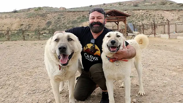 Bu özellik başka hiçbir köpek ırkında yok!