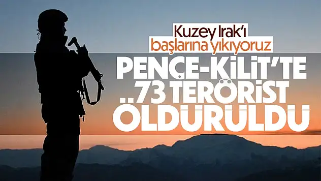 Pençe-Kilit Operasyonu'nda toplam 73 terörist öldürüldü