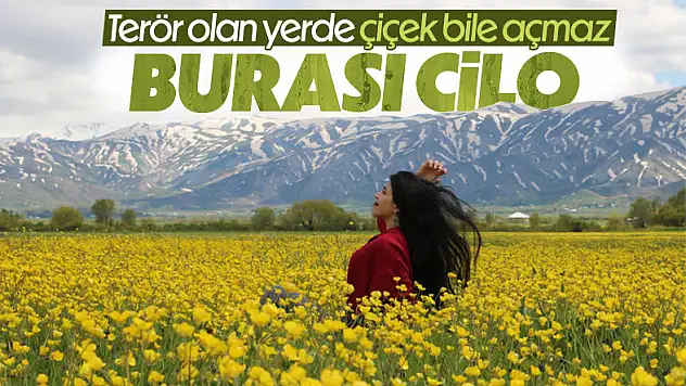 Yüksekova'ya bahar geldi