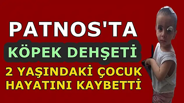 Patnos'ta Köpek Dehşeti: 2 yaşındaki çocuk hayatını kaybetti!
