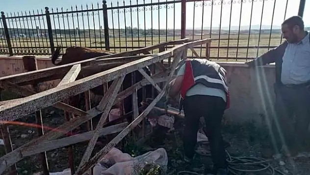 Ağrı'da başı demir korkuluklara sıkışan inek kurtarıldı