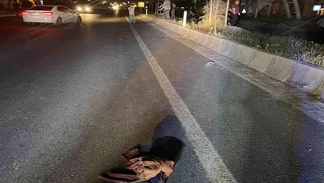 Ağrı'da tırın çarptığı kadın hayatını kaybetti