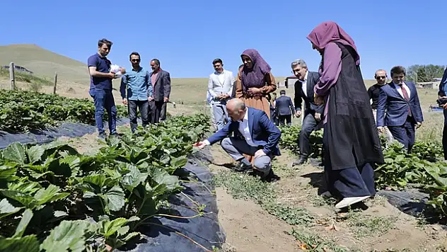 Ağrı Valisi, Hamur İlçesinde Kadın Kooperatifi'ni Ziyaret Etti