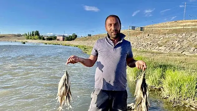 Ağrı'da vatandaşlar nehre girerek balık tuttu