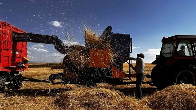 Ağrı'da hasat zamanı başladı