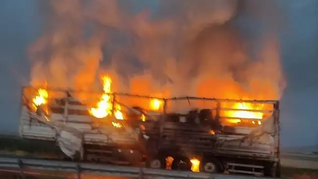 Ağrı'da seyir halindeki tır alev aldı