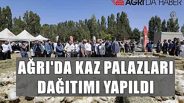 Ağrı'da 5 bin adet kaz palazı üreticilere dağıtıldı