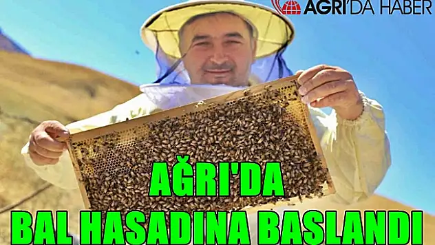 Ağrı'da bal hasadına başladı