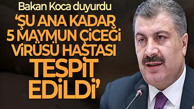 Türkiye'de 5 maymun çiçeği virüsü hastası tespit edildi