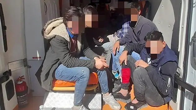 Ağrı'da 12 kaçak göçmen yakalandı