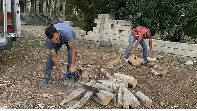 Ağrı'da ağaçlar kışlık odun olmak için kesildi