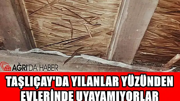 Taşlıçay'da yılanlar yüzünden insanlar evlerinde uyuyamıyorlar!