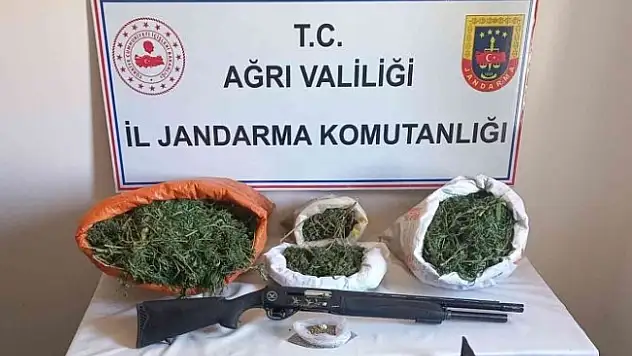 Ağrı'da 15 kilo esrar ele geçirildi
