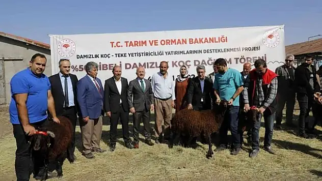 Ağrı'da 179 damızlık koç sahibine teslim edildi