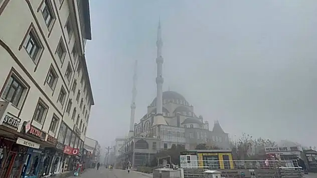 Ağrı'da yoğun sis etkili oldu
