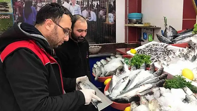 Ağrı'da su ürünleri denetimleri yapıldı
