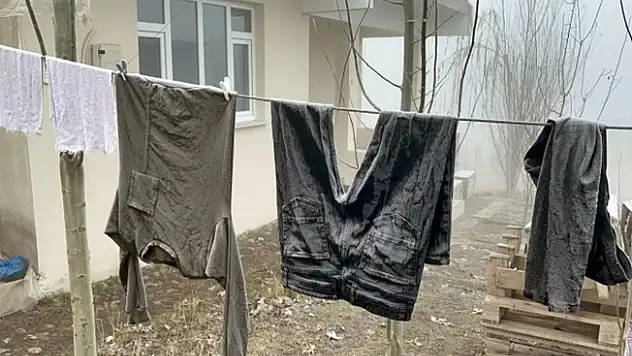 Kar olmayan Ağrı'da don yaşanıyor