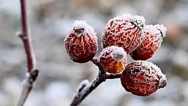 Ağrı, 3 Ocak'ta güne eksi 14 derece ile uyandı