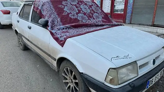 Ağrı'da sis ve don etkili oldu