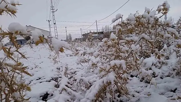 Diyadin'de kar yağışı başladı