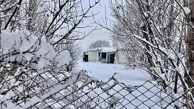 Ağrı'da kar yağışından dolayı 321 köy yolu ulaşıma kapandı