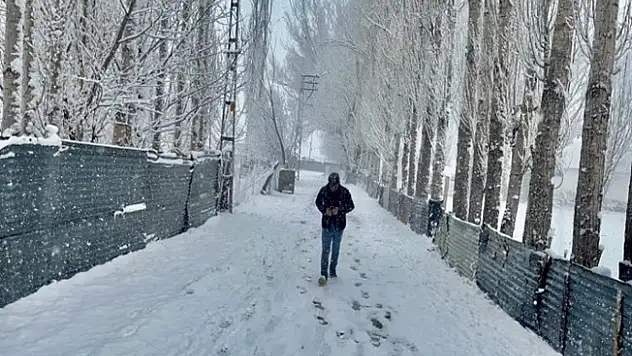 Bahara hazırlanan Ağrı'da kar sürprizi
