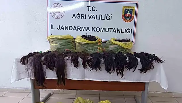 Ağrı'da 397 adet insan saçları ele geçirildi